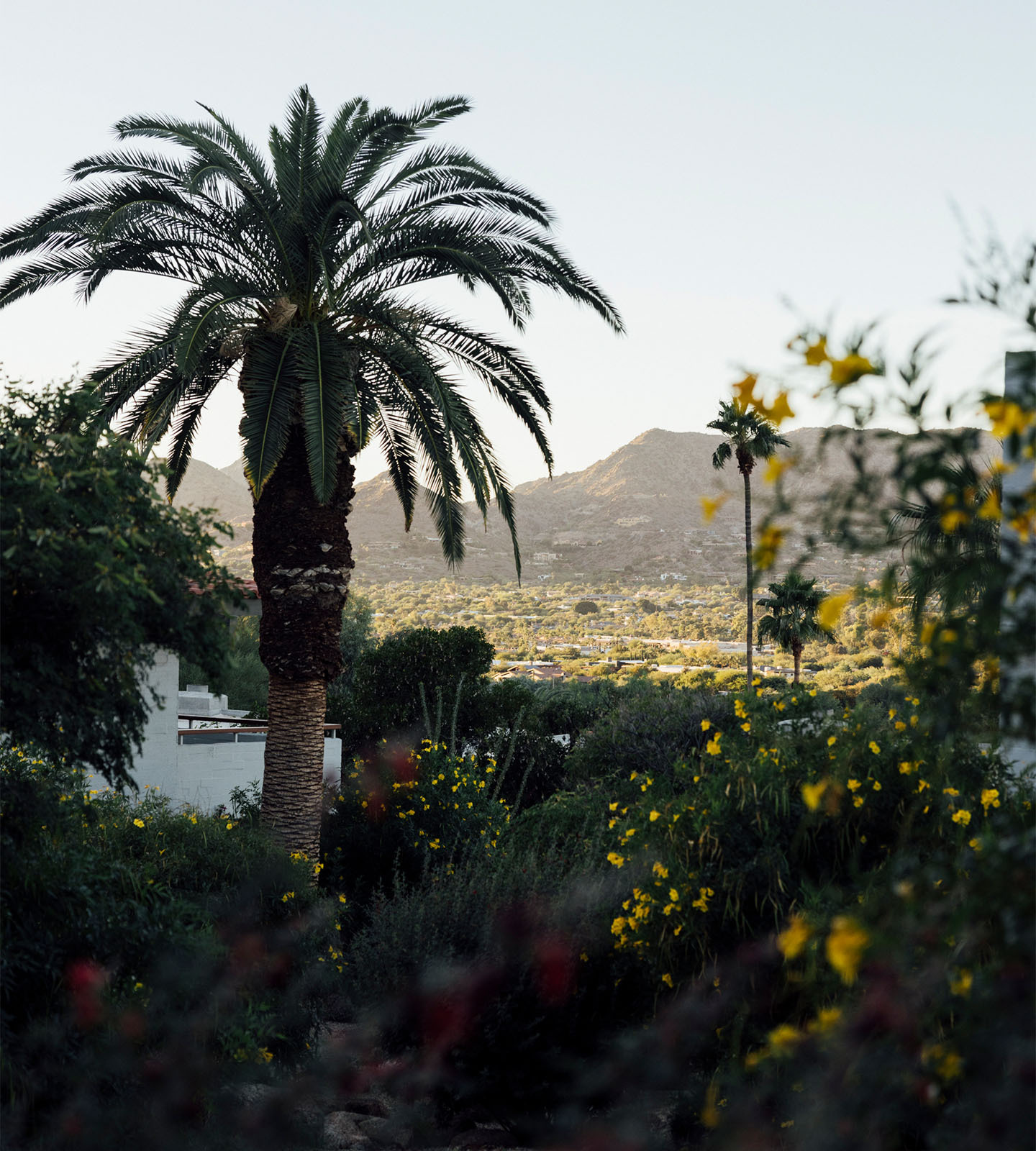 Sanctuary on Camelback Mountain