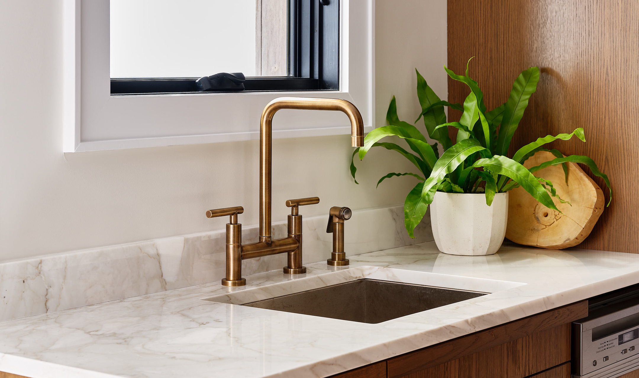 Kitchen sink with bronze fixtures and potted plant.