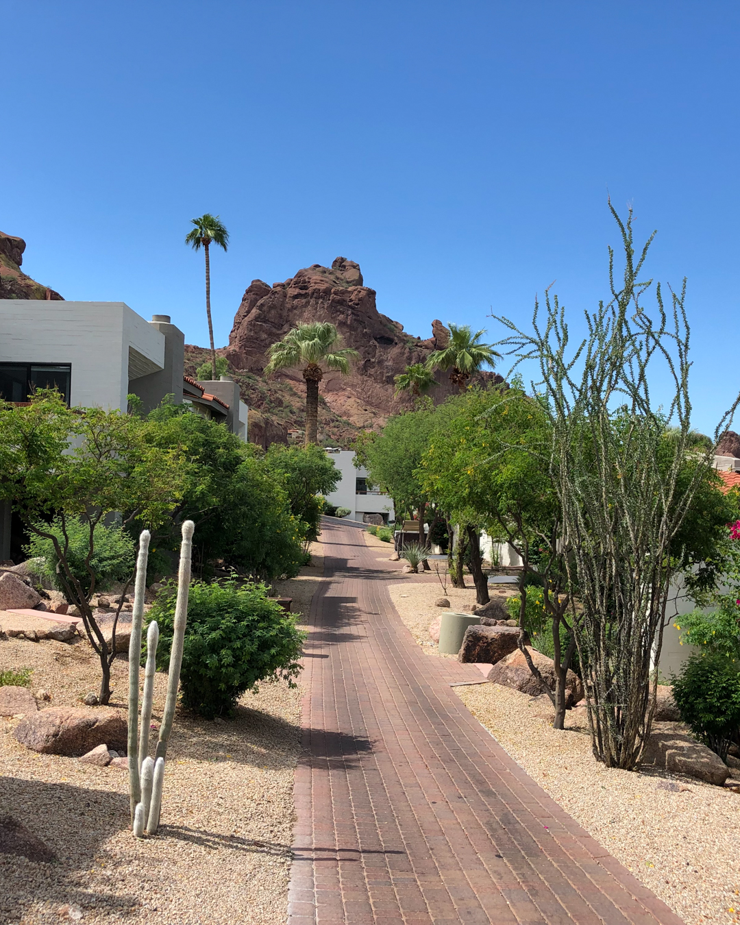 Desert pathway between mountain casitas and suites.
