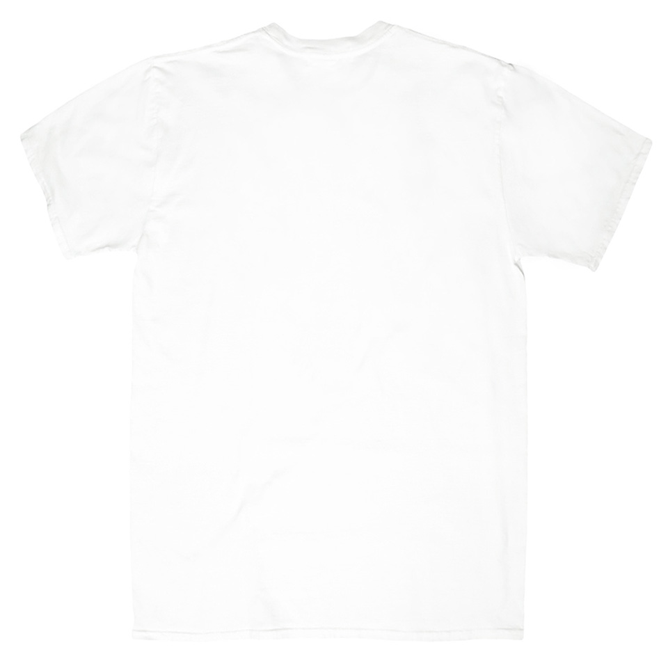 Sanctuary T Shirt, White, Back