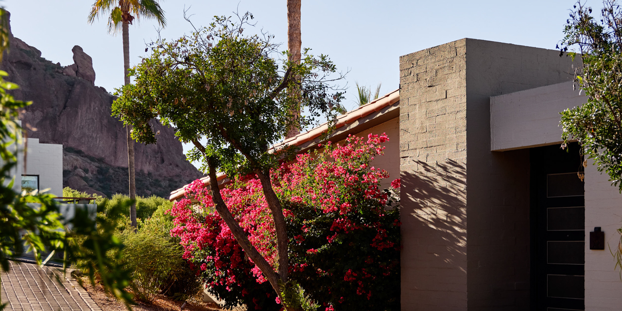 Entrance to Mountain Casita with desert landscape, red bougainvillea, and Praying Monk in background.