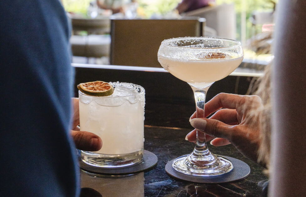 agave spirit experience 