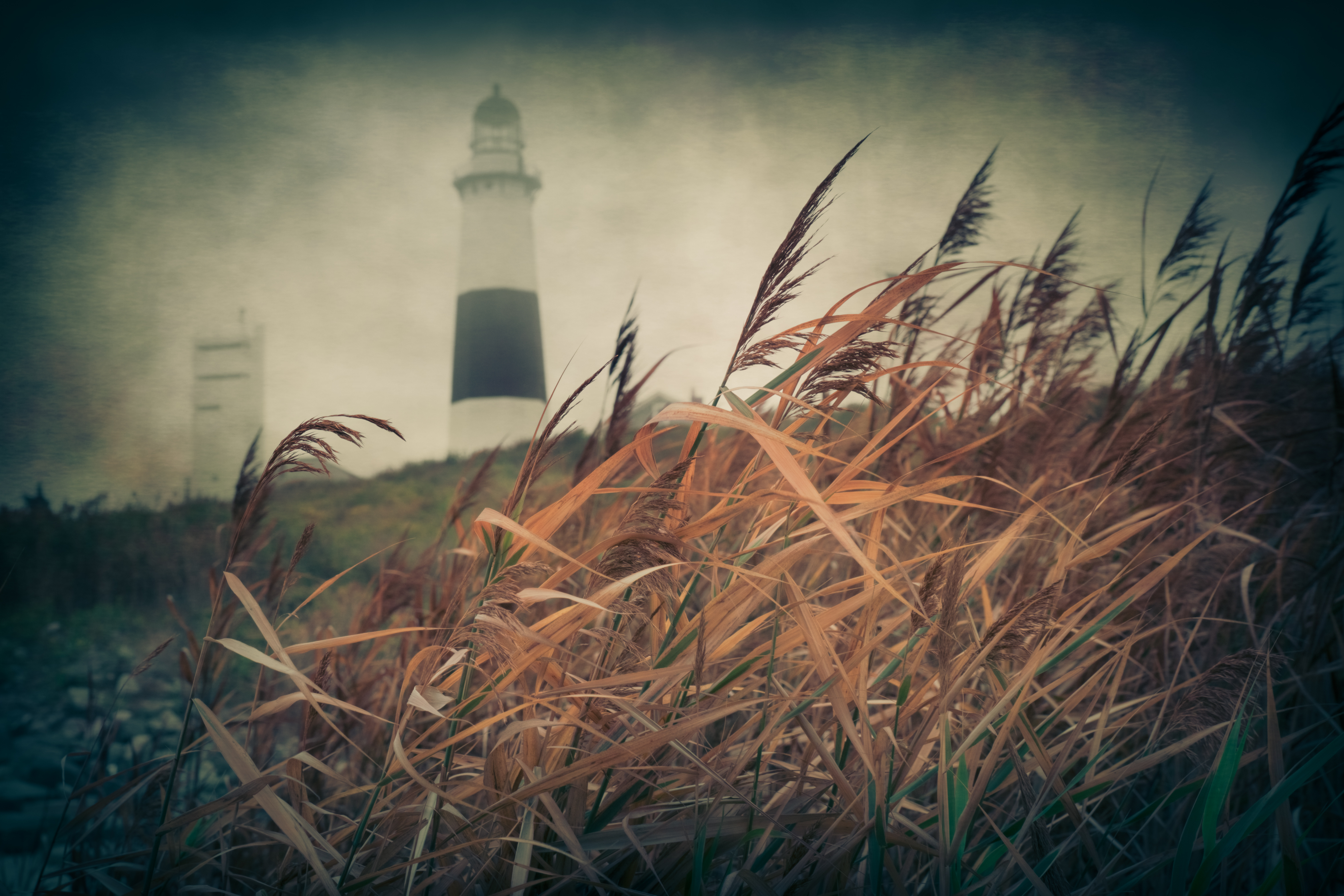 Winter overcast view of downtown Montauk with Lighthouse in background behind foliage.