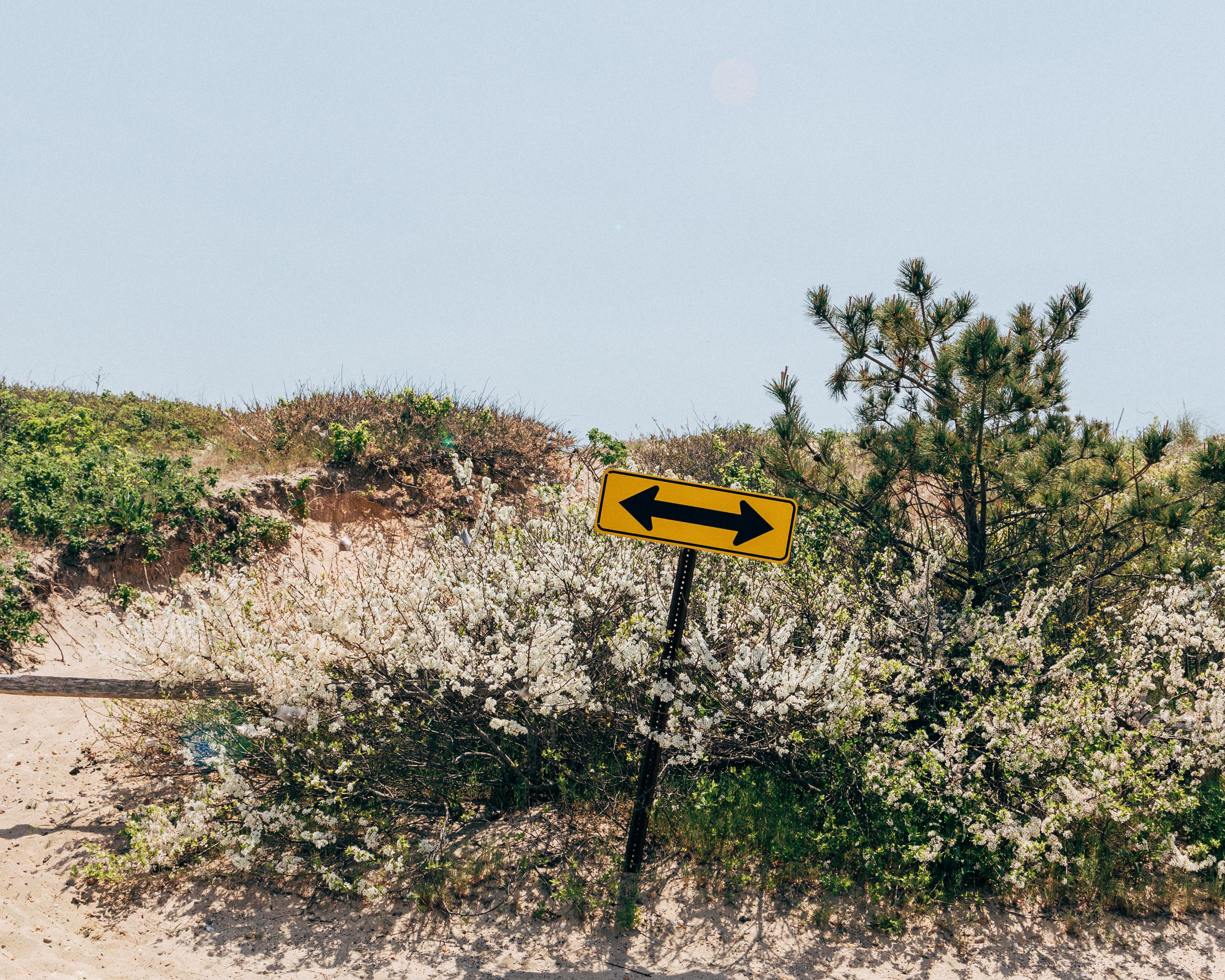 Yellow direction sign with beach, fence and foliage in background.