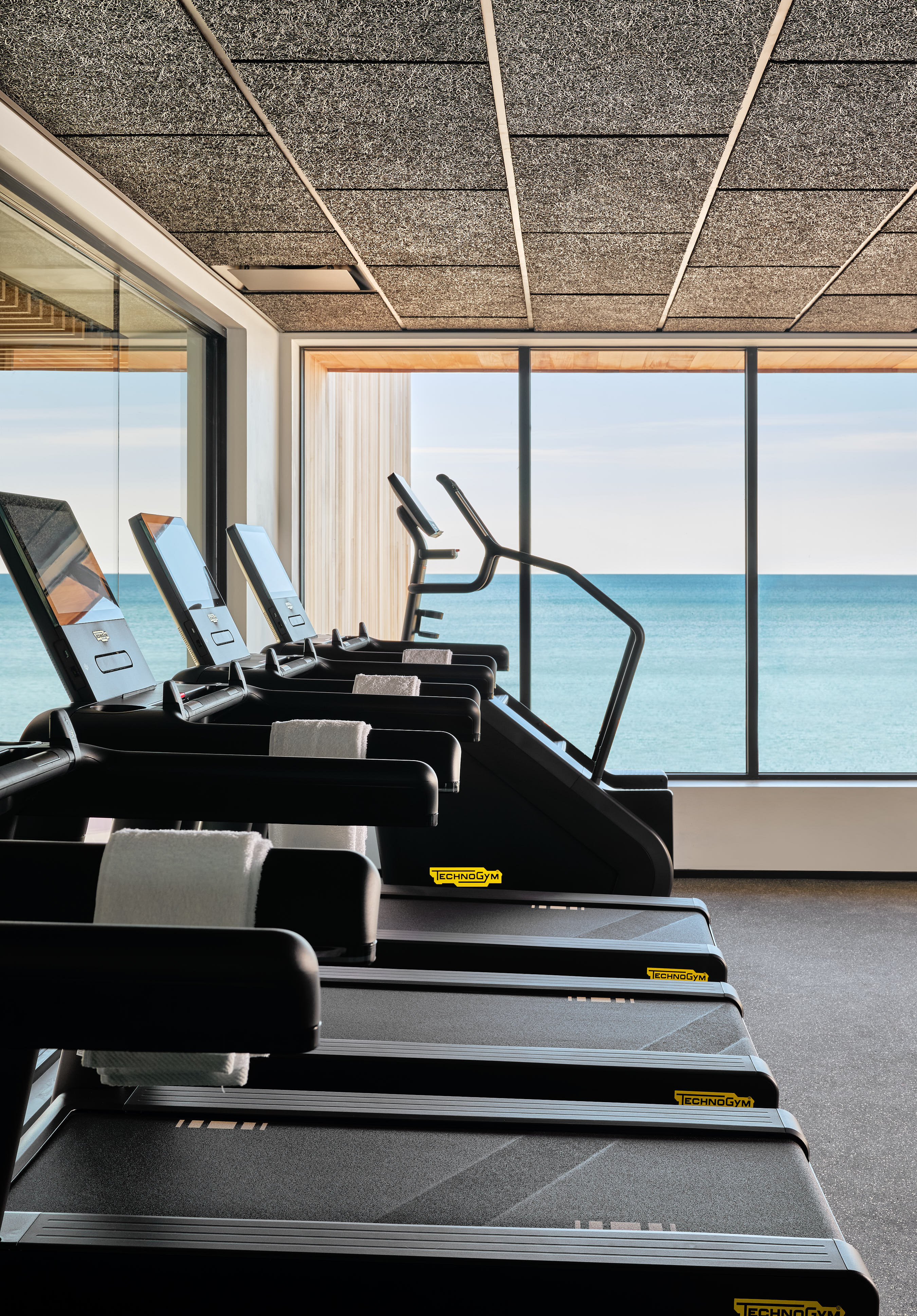 Treadmills and stair stepper with ocean view.