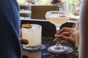 agave spirit experience 