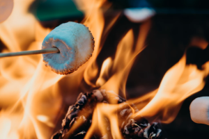 Smore roasting in a fire 
