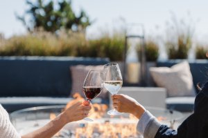 Two people clinking wine glasses over an outdoor fire pit surrounded by plants, under a clear blue sky.