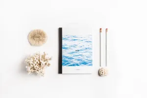 Nami Collective 
