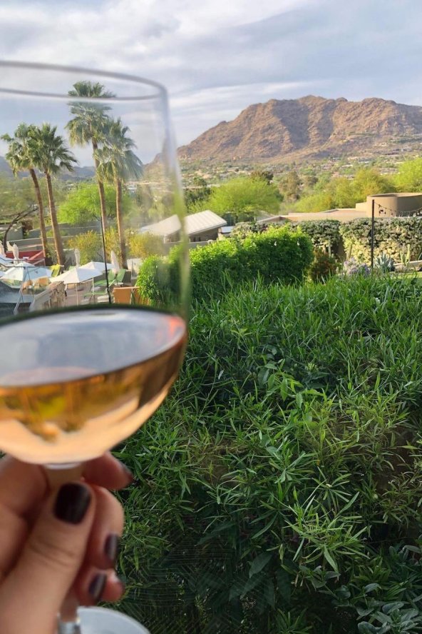 A hand holds a glass of rosé wine in front of a lush garden with palm trees and a mountain in the background under a cloudy sky.