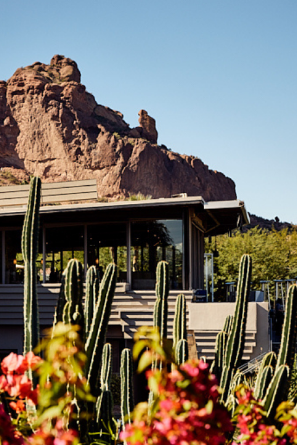 Desert landscape with a modern building, tall cacti, and colorful flowers in front. Rocky hills rise under a clear blue sky.