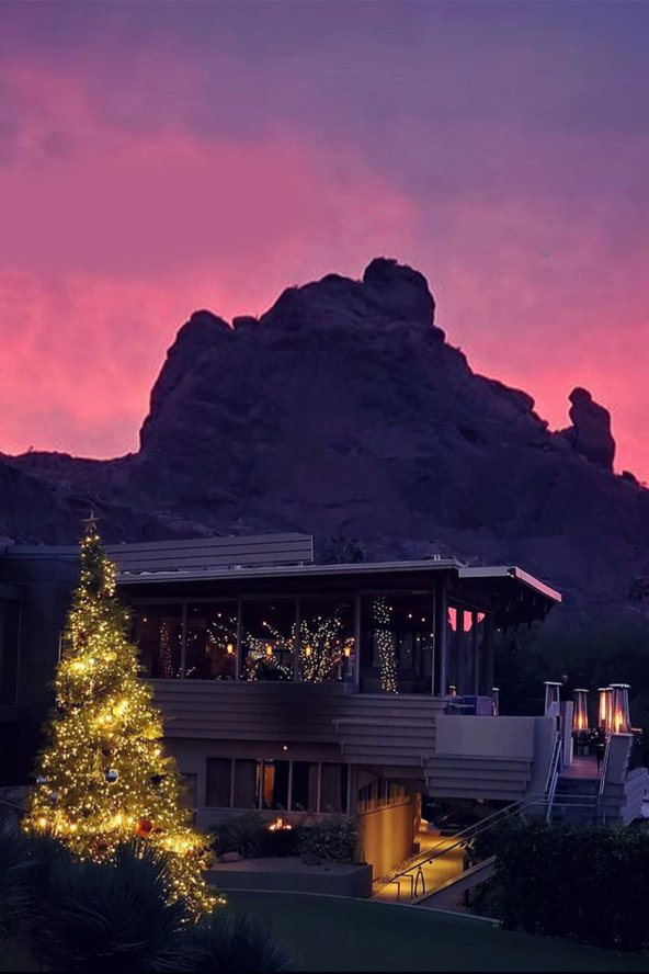 Christmas Tree with holiday lights in front of elements with pink and purple sunset behind Praying Monk.