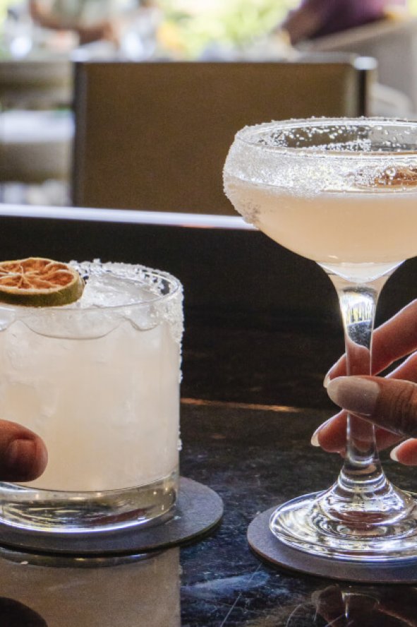 agave spirit experience 