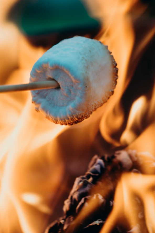 Smore roasting in a fire 