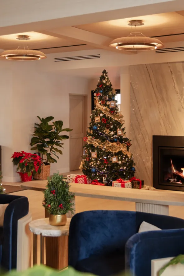 Cozy living room with a decorated Christmas tree, fireplace, and blue chairs. Red and gold ornaments adorn the tree. Poinsettias in the background.