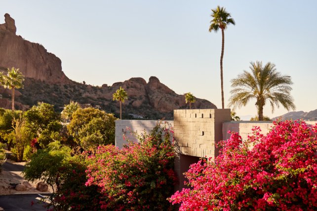 View overlooking Mountain Casitas and blooming desert landscape at Sanctuary with Praying Monk in background.