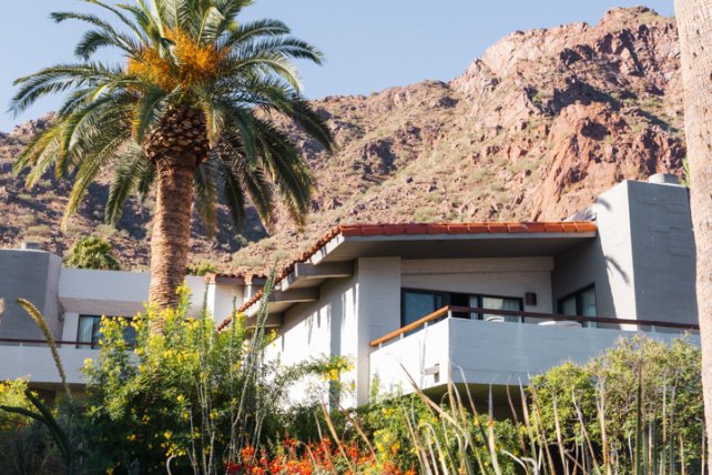 Beautiful, lush desert landscape with palm trees outside Mountain Casitas and Suites.