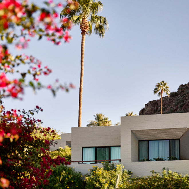 Modern building with large windows, surrounded by lush greenery and vibrant flowers, tall palm trees under a clear blue sky.