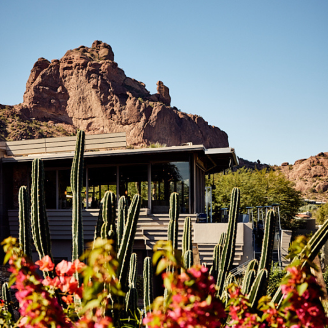 Desert landscape with a modern building, tall cacti, and colorful flowers in front. Rocky hills rise under a clear blue sky.