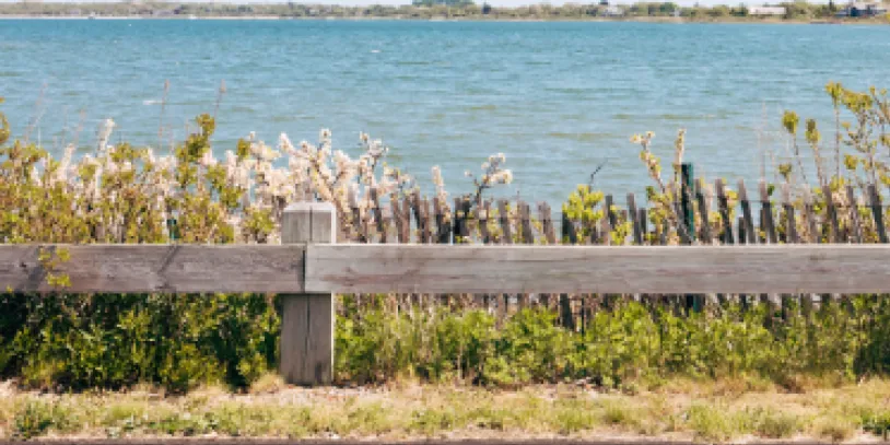 Wooden fence with overgrown grass in front of a lake under a clear blue sky.