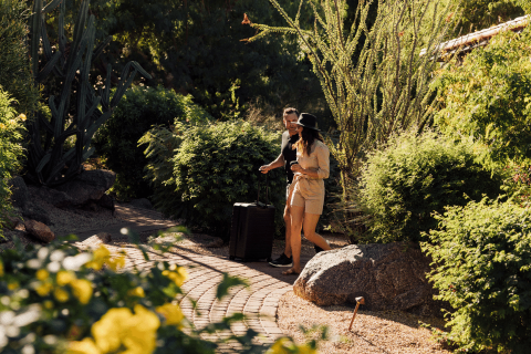 Romance_in_Paradise_Teaser_image