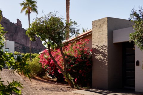 Outside front door of Mountain casita with desert decor, red bougainvillea,  and Praying Monk in background.