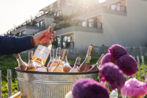 A bottle of rose wine is lifted out of a metal pail filled with wine bottles