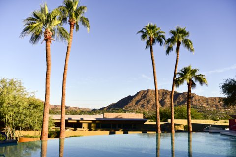 View overlooking Sanctuary's Infinity Pool with palms, spa and mountain in background.