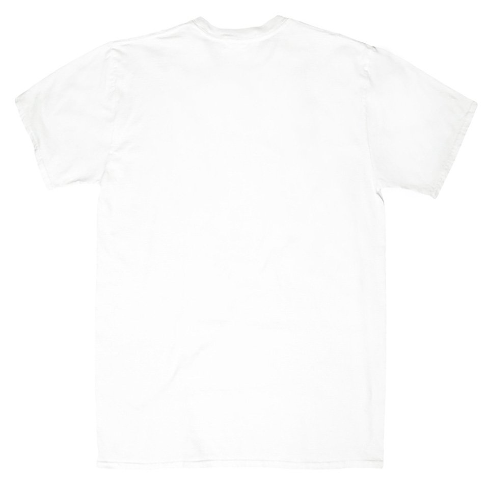 Sanctuary T Shirt, White, Back