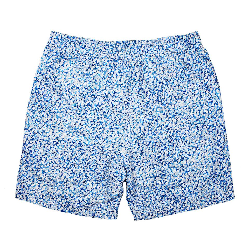 Onia Charles Blue Patterned Trunks - Back