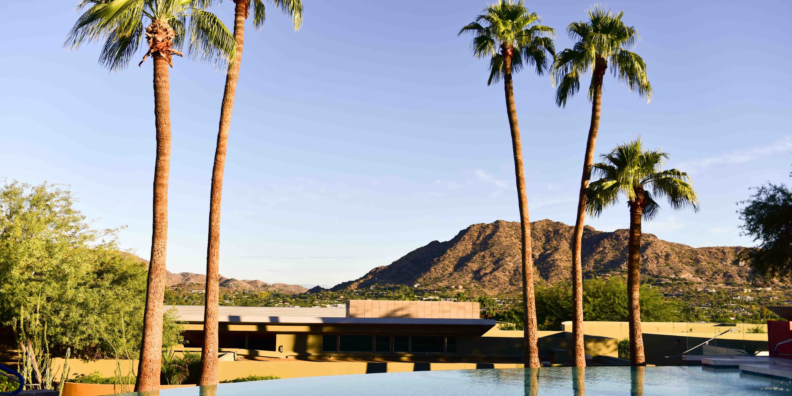 Sunrise over Sanctuary's Infinity Pool with palm trees and stunning mountain views.