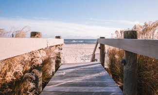 Wooden path leading down to beach and ocean