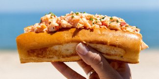 Gurney's famous lobster roll