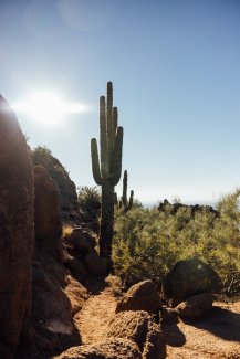 Desert mountainside landscape with boulders, foliage and saguaro cacti.