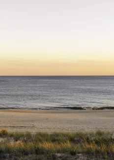 Sunset View