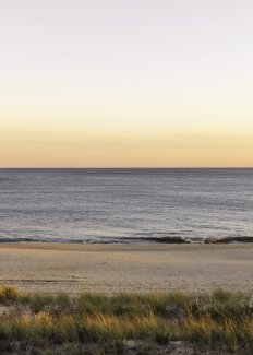 Sunset View